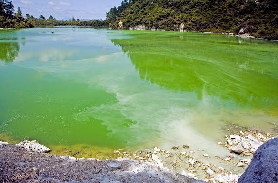 Lacul Ngakoro