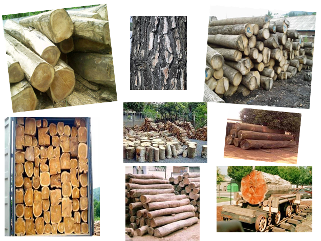 growth, structure and preservation of various types of wood available