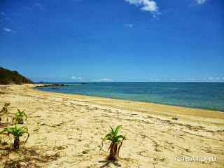 石垣島の伊野田キャンプ場のビーチ 風景写真