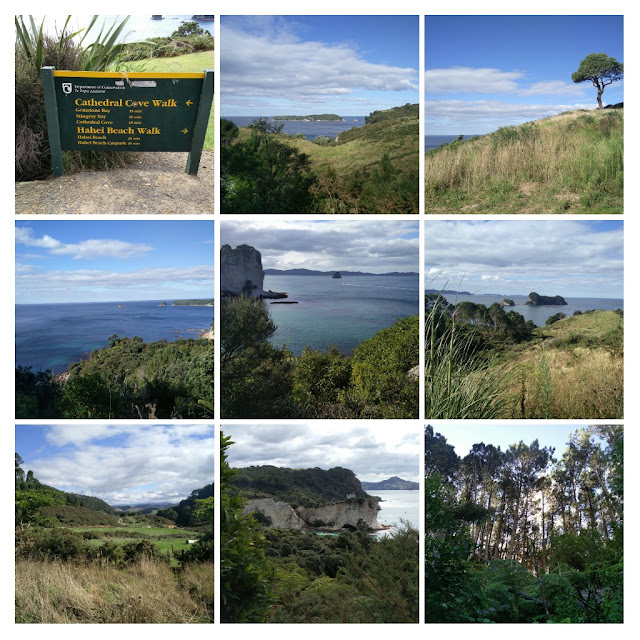 Photos de Cathedral Cove Walk Hahei Coromandel Nouvelle-Zélande