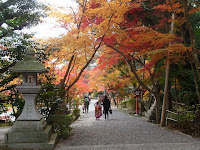 紅葉の中、七五三参りをする家族