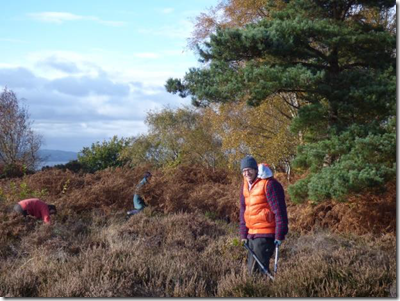 Volunteers at a workday at Cleaver Heath