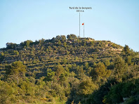 El Turó de la Senyera, punt culminant del Serrat de l'Oca, vist des del camí de Cal Feliu