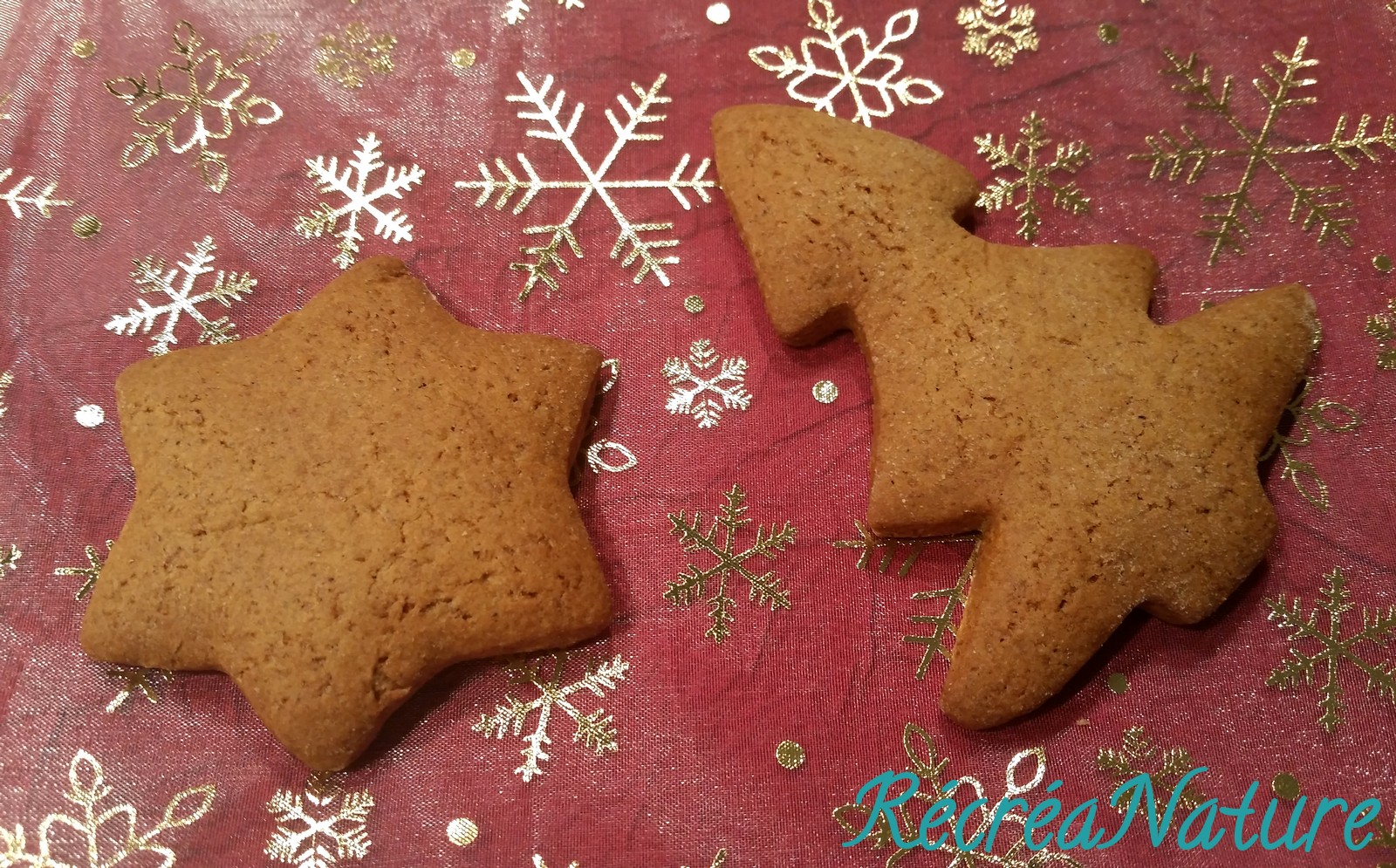 Recette Biscuits de Noël cannelle et gingembre