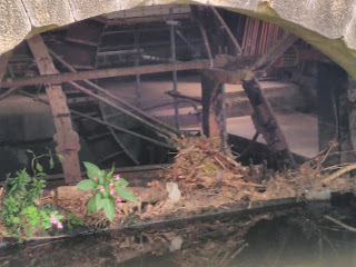<img src="Mayroyd Mill.jpeg" alt=" image of the ruined mill near Hebden Bridge" />