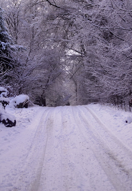 I didn't get my wee car out for five days,  thank goodness for David's car