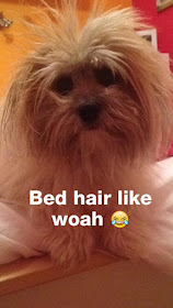 Bed Hair Like Woah