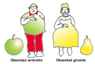 obesidad androide central ginoide periferica comparacion