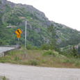 View album
