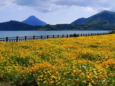上 九州 鹿儿岛 274372-九州��儿岛 樱