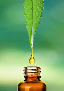  Hemp Leaf Oil dropping into medical bottle