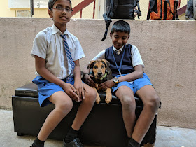 The school kids who became super friends with my puppy