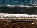 myrtos 1