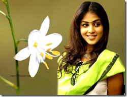 Genelia003