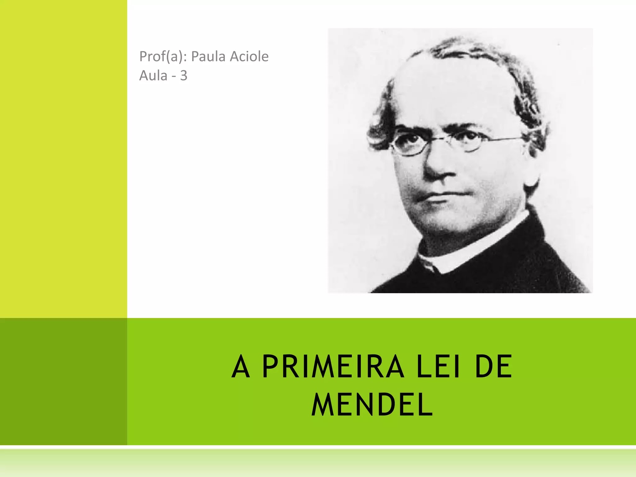 Primeira lei de Mendel resumo pdf