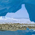 Beauty Of Antartica