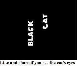 Picture Puzzle to find Cat's Eyes