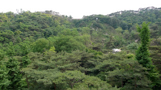 Samcheonggak view from the terrace towards the city walls