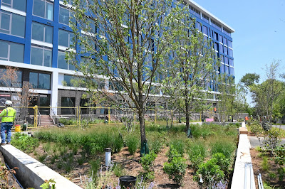 Washington DC's Buzzard Point apartment building has views of the Frederick Douglass Memorial Bridge and Anacostia River