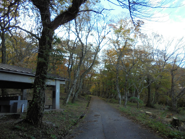 下山キャンプ場