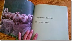 image from Otter Passover, by Jennifer Tzivia MacLeod