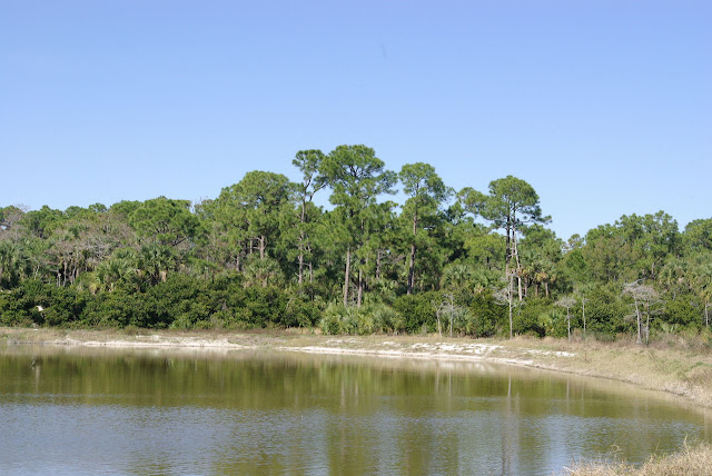 Winding Waters Natural Area