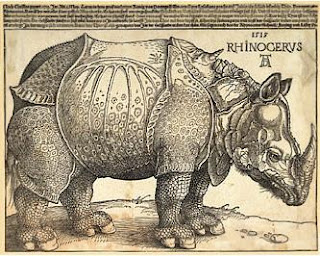 Gráfico de un rinoceronte
