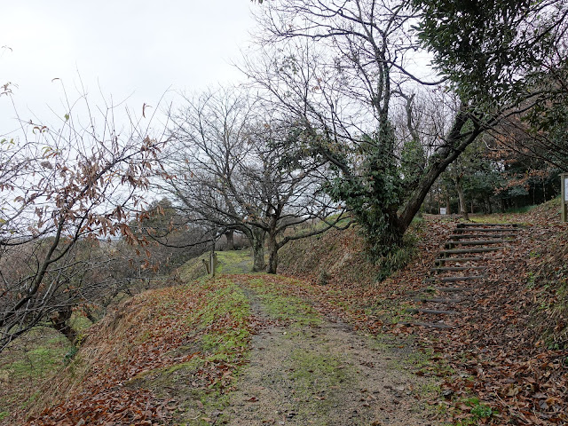 伯耆古代の丘公園