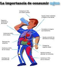 El agua forma parte del 70 % del peso del cuerpo humano, y no es de extrañar, que una persona que no beba agua, pueda morir en unos pocos días.  Agua en el ser humano  En condiciones normales, un ser humano cada día pierde unos dos litros de agua entre el sudor, la respiración, la orina y las defecaciones, y estos dos litros deben ser recuperados cada día, ya sea ingiriendo agua, refrescos,  fruta, alimentos acuosos, etc. Lo lamentable y triste es que al gua está al alcance de nuestra mano, en cada una de las casas, siempre existe un grifo del que poder beber, pero aun así, la mayoría de las personas del primer mundo, sufren de lo que se suele denominar “deshidratación crónica” ya que no beben el líquido suficiente, y luego se quejan de cansancio general. Tan solo bebiendo un poco más de agua cada día podría solucionarse.  El cerebro humano, está compuesto de un 95 % de agua, la sangre de un 82%, y los pulmones de un 90% de agua. Es por ello, que apenas una disminución de un 2% en la composición de nuestro cuerpo puede causar ya los primeros síntomas de deshidratación, como son la perdida momentánea de la memoria, problemas con las matemáticas, dificultad en enfocar la mirada en objetos o letras pequeñas, etc…  Un déficit de agua del 4% acarrea dolores de cabeza, irritabilidad, somnolencia y graves dificultades de concentración. Si alcanzamos un 10% de pérdida de peso corporal debido a la deshidratación, podemos perder la vida.