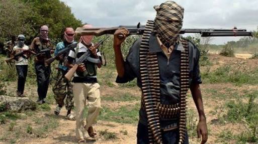 Three people were killed by Boko Haram insurgents in a raid