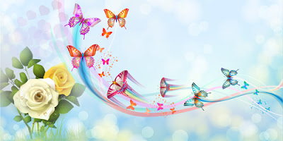 BUTTERFLY HD WALLPAPER 14