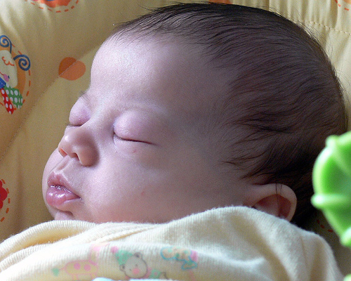 Image: Conked out in his bouncy chair - 62 days old, by jessicafm  / Jessica Merz, on Flickr