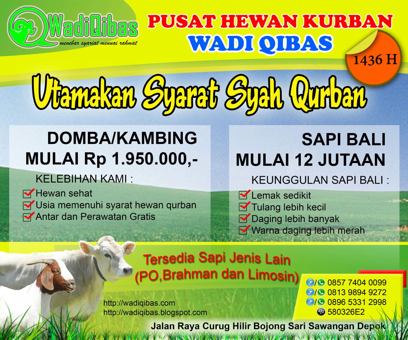 Harga Hewan Qurban 1436 H  Wadi Qibas Farm - Qurban dan 