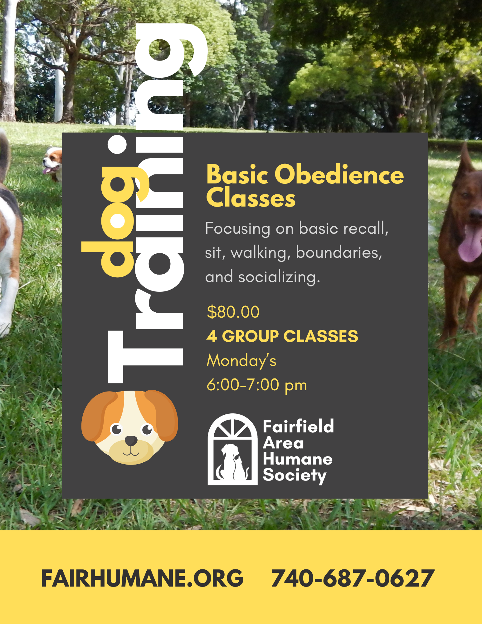 dog training classes ad