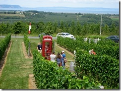 Luckett Vineyards, NS