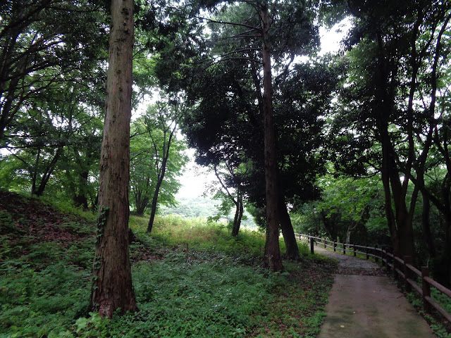 弥生の森　遊歩道