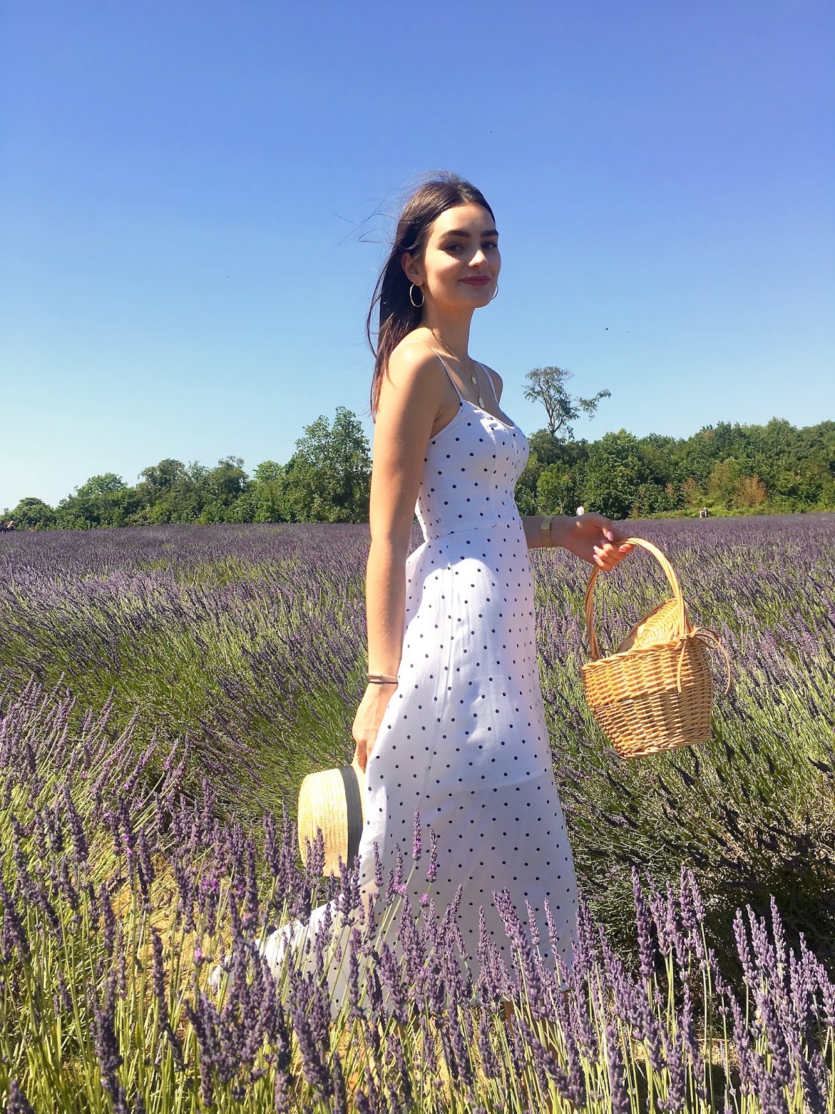 peexo blog mayfield lavender fields