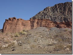 DSCF1358