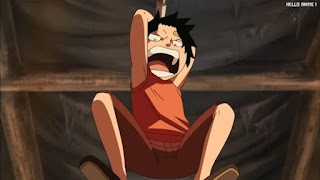 ワンピースアニメ 幼少期 495話  エース | ONE PIECE Episode 495