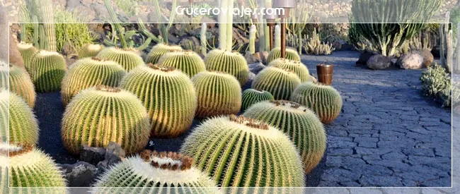 Jardín del Cactus en Lanzarote