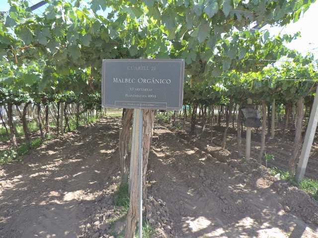 Blog Apaixonados por Viagens - Mendoza - Zuccardi