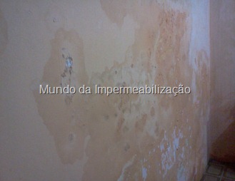 infiltração na parede (6)