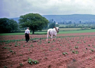 Evolutionary concepts are inconsistent. In this case, they cannot explain how and why farming suddenly popped onto the scene when supposedly humans had been around for a long time.