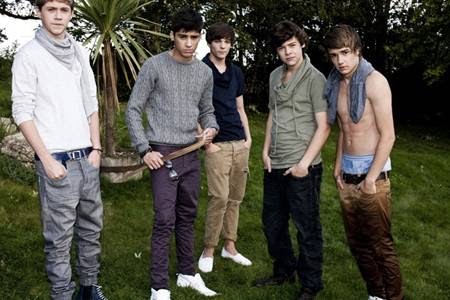 Niall, Zayn, Louis, Harry und der halbnackte Liam bei "The X Factor"!  width=