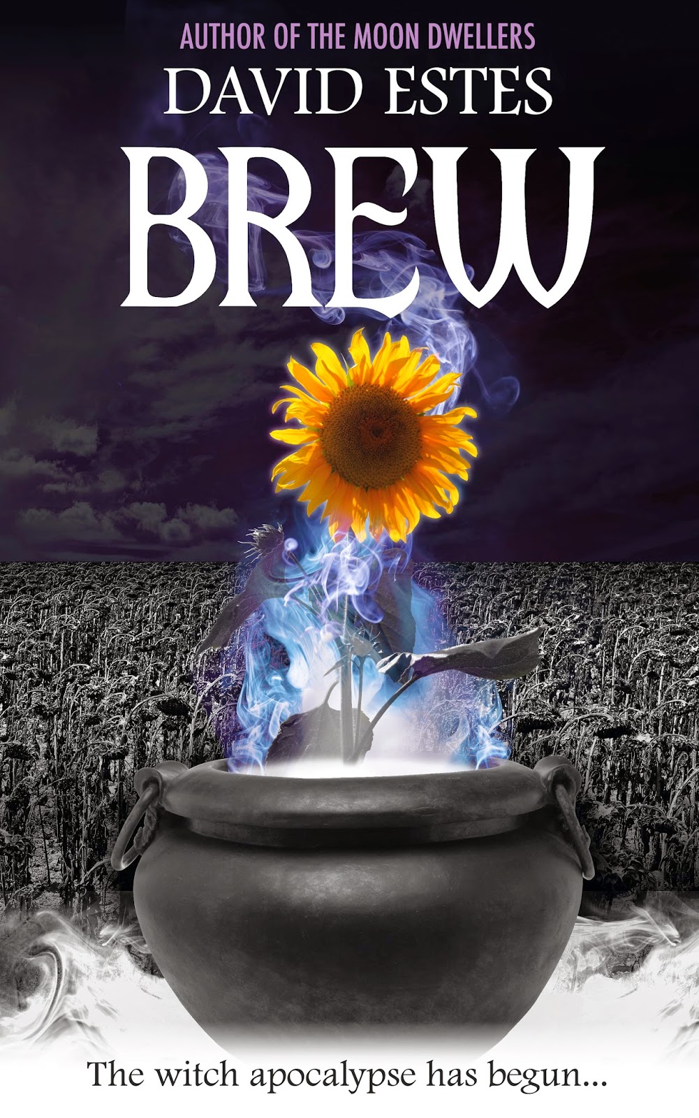 http://www.amazon.com/Brew-Salems-Revenge-Book-1-ebook/dp/B00NE7DUQM/ref=sr_1_1?ie=UTF8&qid=1416674580&sr=8-1&keywords=david+estes+brew