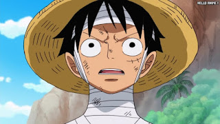 ワンピースアニメ 508話 ルフィ Monkey D. Luffy | ONE PIECE Episode 508