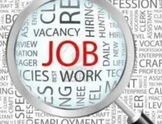 Graduate Freshers And Experience Candidates Job Vacancy in Jindals Consortium