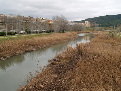 El cantó de llevant del riu Anoia des del Pont Gran de Can Titó