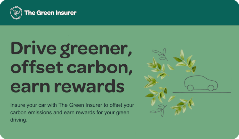 The Green Insurer