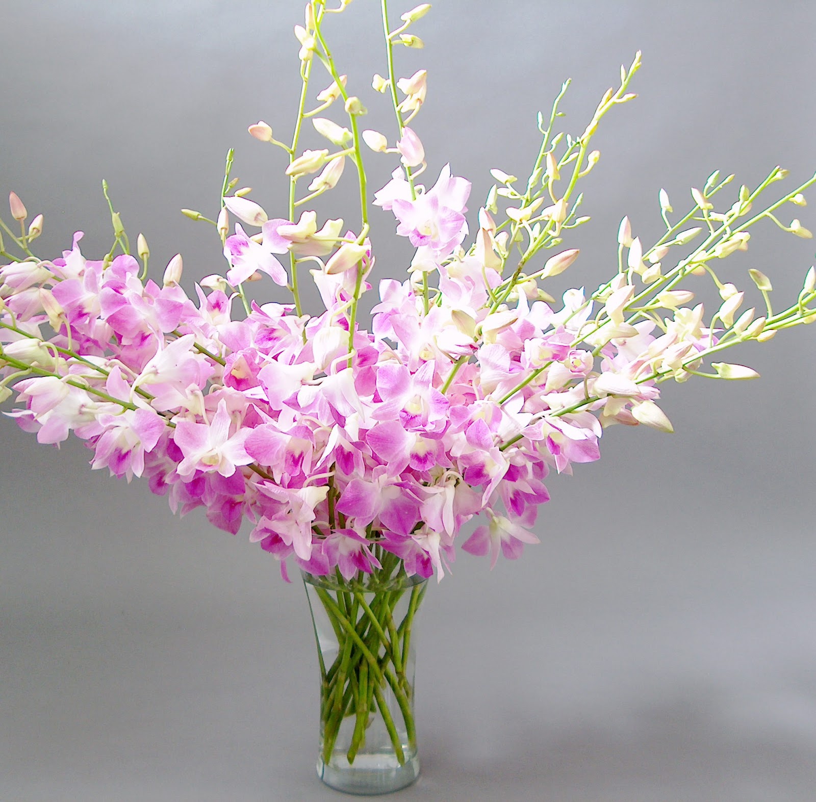 types of flowers n Orchids Flowers Delivery | 1600 x 1573